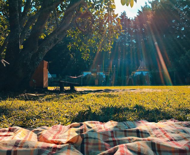 Coronation Celebration Church Services, followed by Picnic